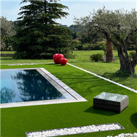 Gazon synthétique - Campus Exelgreen - Garantie 8 ans - Hauteur 25,00 MM