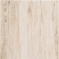 Carrelage extérieur grès cérame émaillé rectifié effet bois Edilis Woodtech - 60 cm x 60 cm - ép. 20 mm - Poplar