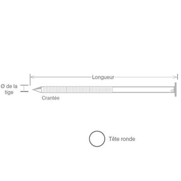 Pointes inox A4 SPIT rouleau pour cloueur pneumatique Ø 2,5x55 mm - Boîte de 1950 pièces