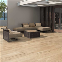 Carrelage extérieur imitation bois Naturel en grès cérame émaillé – 120 x 23.3 cm – ép. 8.7 mm - Nook