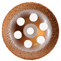 Plateau diamant bombé multi-matériaux - Ø125 mm - Alésage 22,23mm - Grain 24 - Carbure tungstène