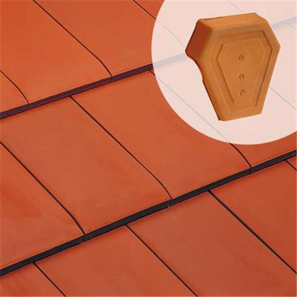 Fronton de rive universelle 1080