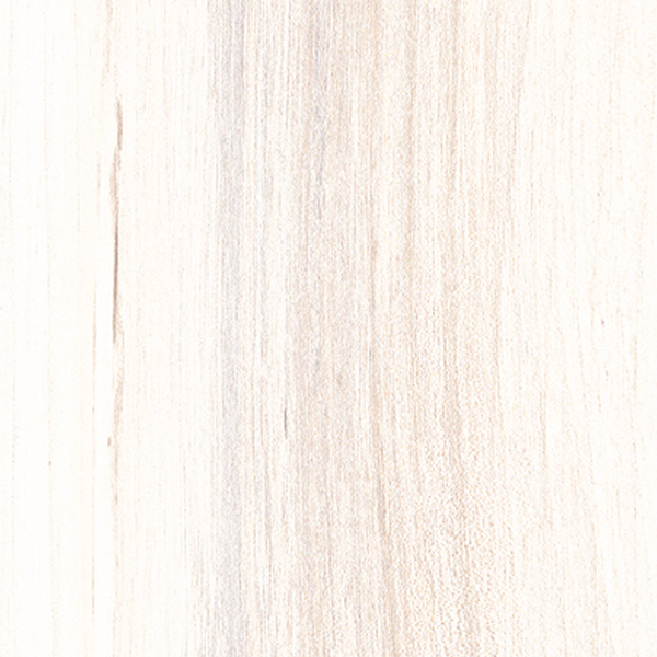 Carrelage intérieur en grès cérame émaillé effet bois Living - 61 CM x 15 CM - ép. 9 MM - Bianco