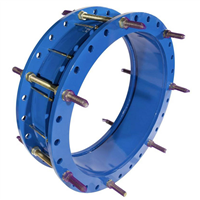 JOINT DEMONT. DN300 PN16