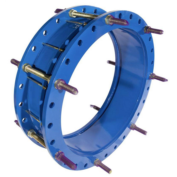 JOINT DEMONT. DN300 PN16