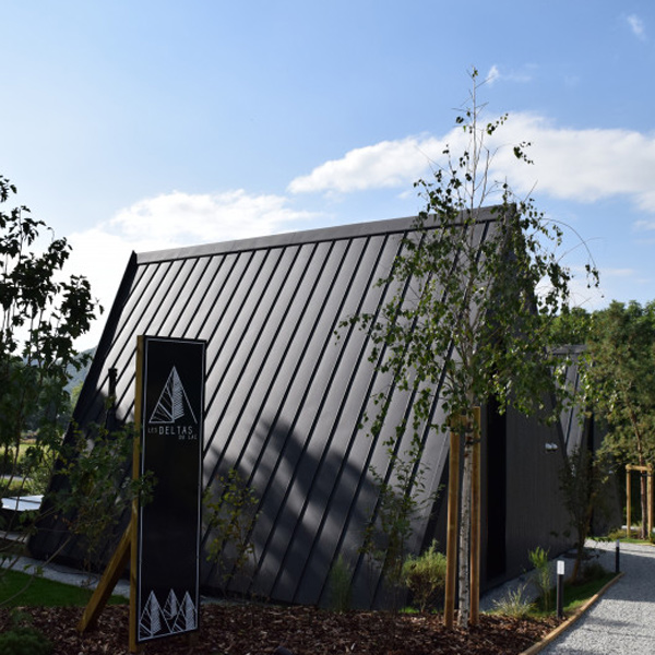 Tôle bac acier 0,60 MM prélaqué aspect joint debout Clipeo Bacacier - 450 MM x 1050,0 MM - Nerro