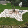 Gravillons - galets
