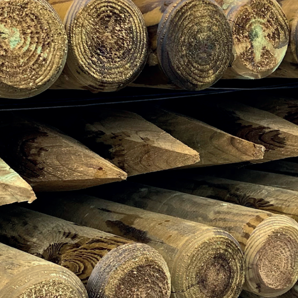 Piquet de clôture chanfreiné et épointé en pin - bois traité classe 4 vert - diamètre 80,0 MM - longueur 1,50 M