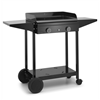 Plancha et chariot pour plancha