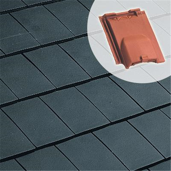 Tuile chatière Arboise Rect