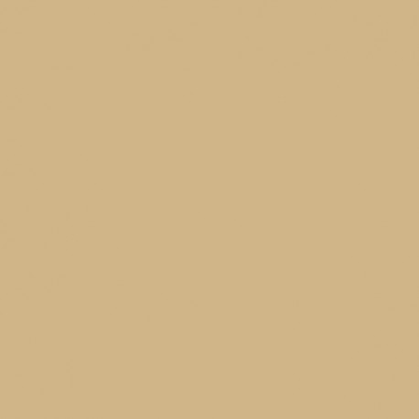 Peinture de protection Sikagard pour toiture inclinée couleur beige 1 litre