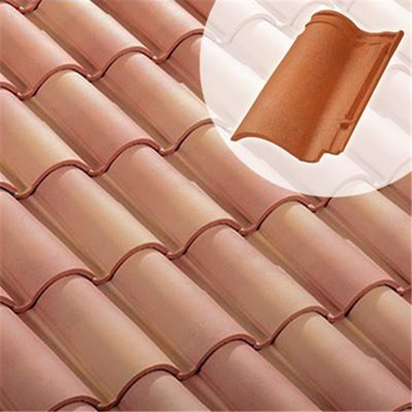 Tuile DC12 - Double Canal 12 double emboitement Terreal 1DG - Flammé Languedoc