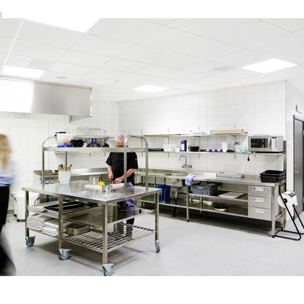 Dalle de plafond pour locaux humides - Ecophon Hygiène Performance A - Bords droits - 600,0 MM x 600 MM - ép. 20,00 MM