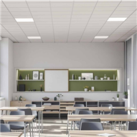 Dalle faux plafond 60 x 60 cm pour isolation acoustique - Tonga dB 41 A - ép. 38 mm