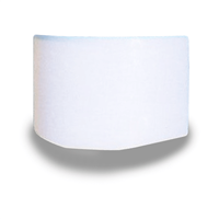 Écran de protection en plastique rigide ACF F069 pour casque de sablage Bali F400 - sachet de 5