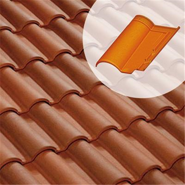 Tuile Romane Évolution 3/4 pureau