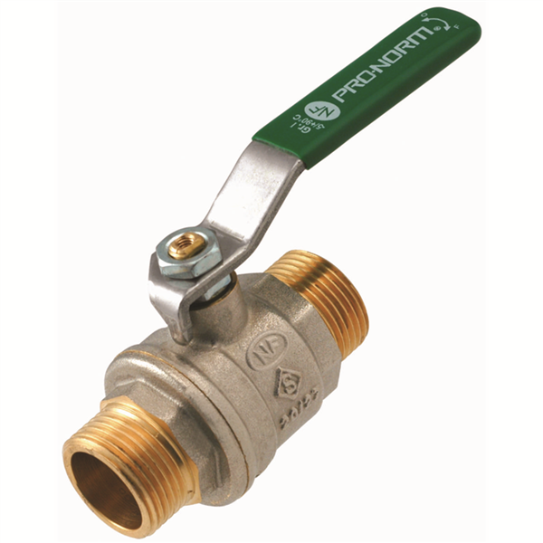 Vanne à sphère NF Double Mâle 1/2" Passage intégral Poignée plate