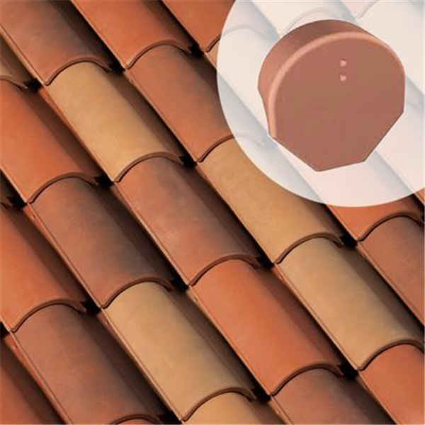 Fronton de rive à rabat GM AK178