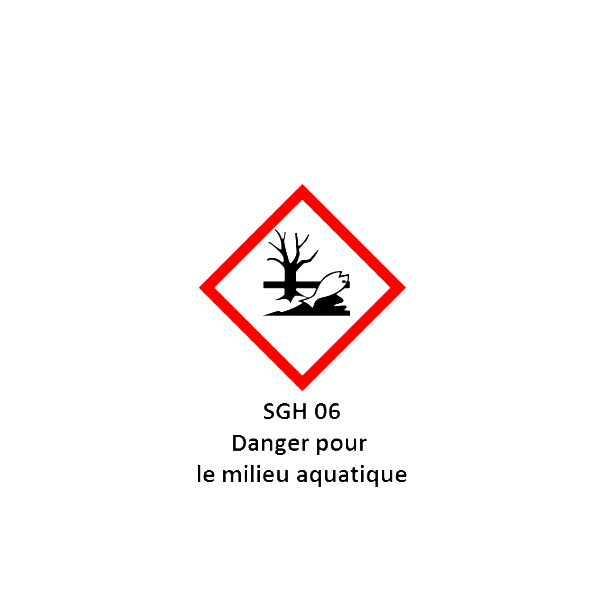 Traitement bois insecticide fongicide intérieur-extérieur - TX203 Cecil Professionnel - Bidon de 30L