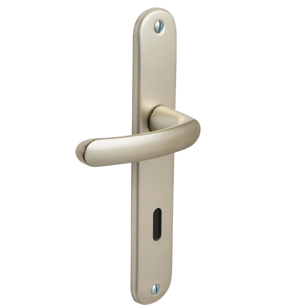 Ensemble poignée de porte à clé en L Vachette Budget - champagne - entraxe fixation 165 mm - carré 7 mm
