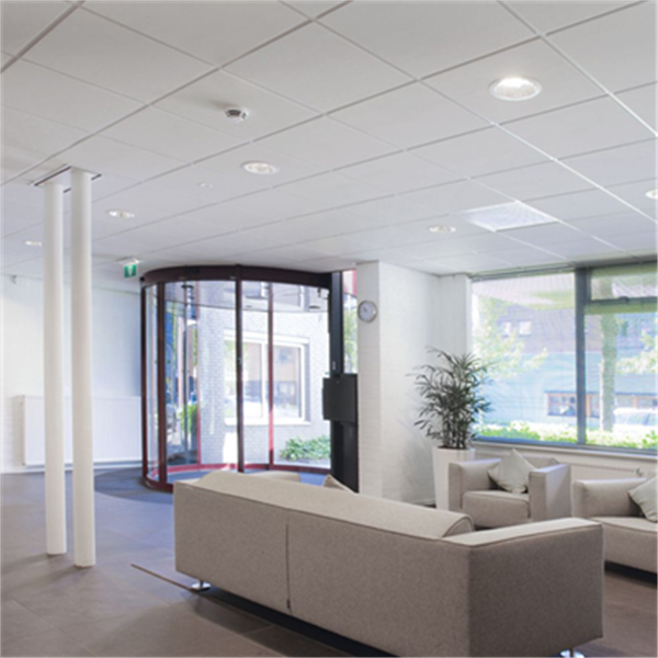 Dalle de faux plafond - Tonga 22 mm - Bords A (droits) - Blanc - 600 MM x 600,0 MM