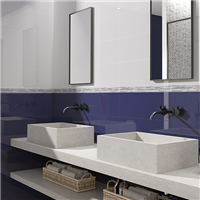 Faïence murale effet '"brillant" JOLLY Brillo - Blanco 20 CMx60 CM