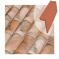 Tuile de rive à rabat universelle Tejas Borja - côté droit du toit - coloris Nature Lamalou - 470 MM x 90 MM