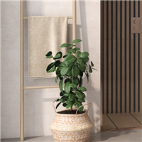 Faïence murale effet béton Amira - 20,0 cm x 60,0 cm - ép. 8,80 mm - coloris Beige mat