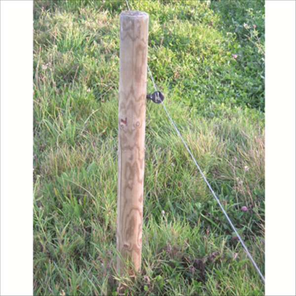 Piquet de clôture chanfreiné et épointé en pin - bois traité classe 4 vert - diamètre 80,0 MM - longueur 1,50 M