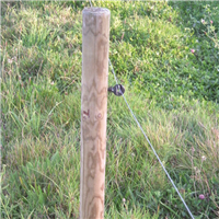 Piquet en pin Diam. 60 mm - Traité Classe 4 Vert - L.1,50M