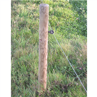 Piquet en pin Diam. 80 mm - Traité Classe 4 Vert - L.2,00M