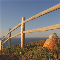 Poteau pin extrémité clôture PRAILLOUX - Traité Classe 4 Vert - Diam. 140 mm - Haut.1,50M