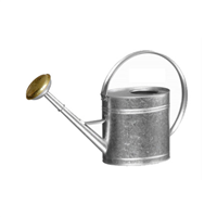 arrosoir de jardin forme ovale tôle en acier galvanisé 4l guillouard