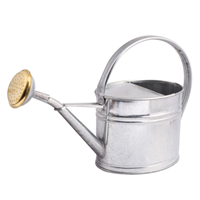 arrosoir ovale avec pomme laiton - capacité 1.75l - acier galvanisé à chaud anti-corrosion