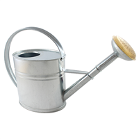 arrosoir de jardin forme ovale acier galvanisé à chaud 10l anse creuse guillouard