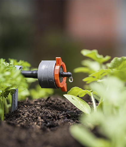 arrosage goutte à goutte
