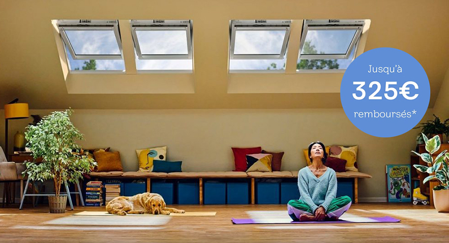 VELUX fenêtres motorisées