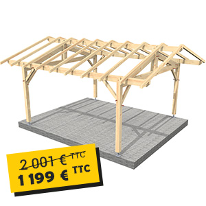 Abri de jardin Peyragudes avec toit à 2 pentes - sapin traité Classe 2 - en kit - 4 x 5 m