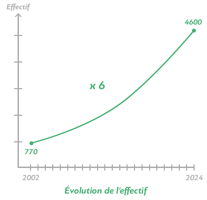 Évolution de l'effectif