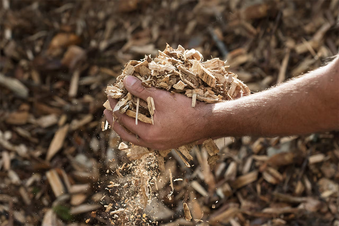 Isolants en fibres de bois Gutex