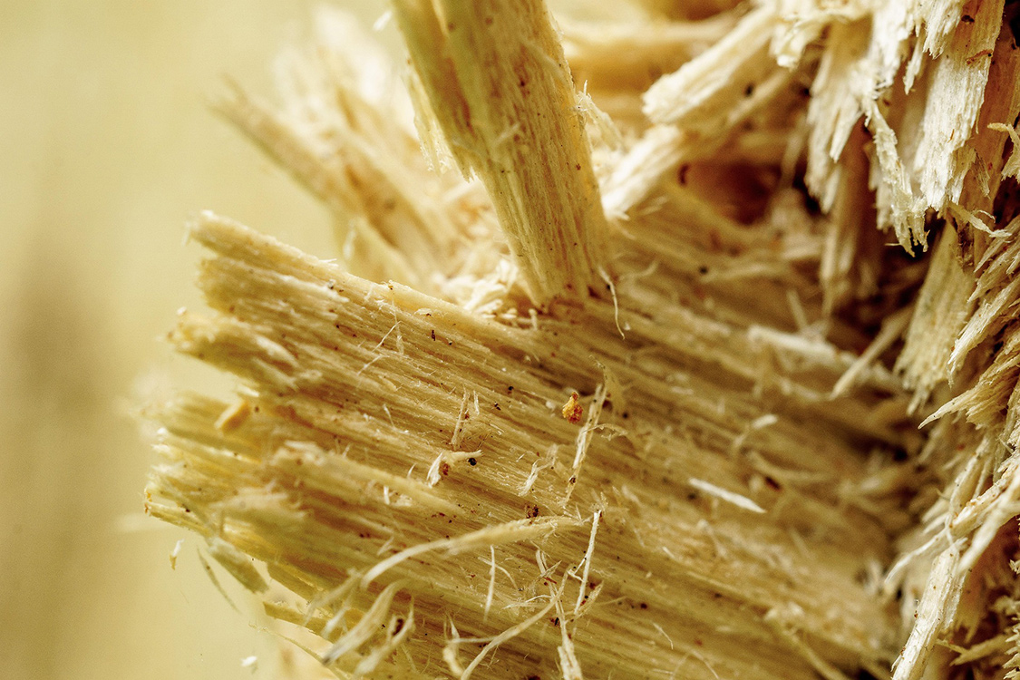 fibre de bois