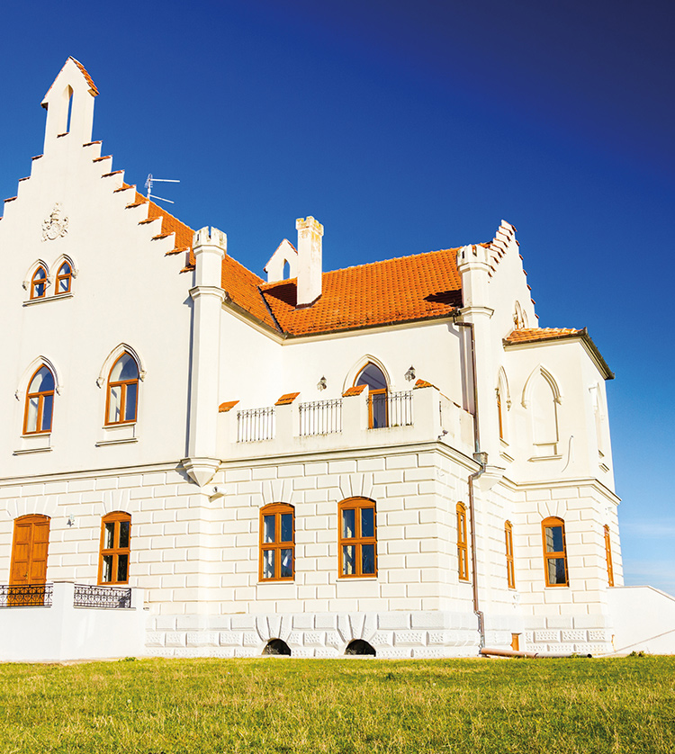 Répar Pierre TF/TM/DF/DM