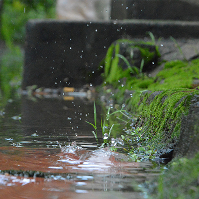 La gestion des eaux de pluie