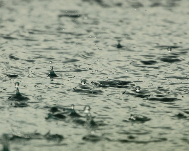 La gestion de l'eau de pluie avec Sebico