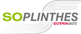 Soplinthes