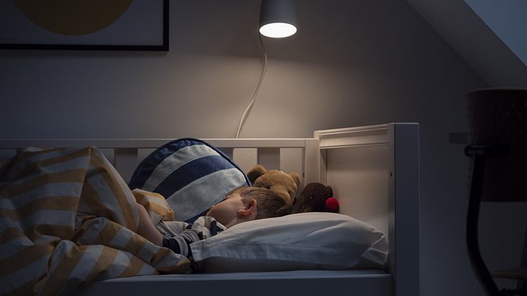 Velux volets roulants