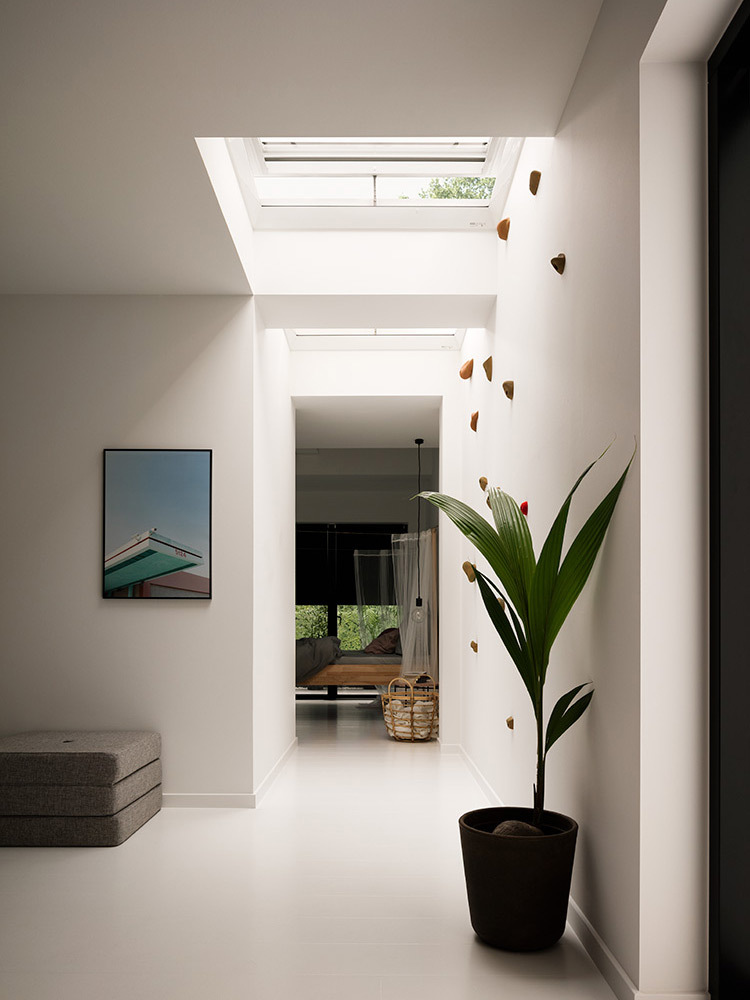 Fenêtres pour toit plat VELUX