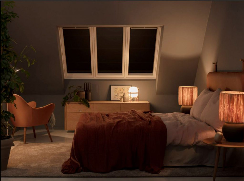 Velux volets roulants