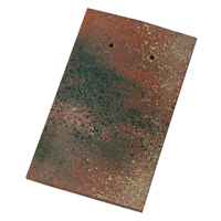 Tuile plate en argile haut de gamme - Tempo - 18,5 x 31 cm - Patiné Champagne